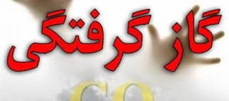 دودکش های نامناسب از مهم ترین دلایل مسمومیت با گاز مونوکسیدکربن است 20 دودکش های نامناسب از مهم ترین دلایل مسمومیت با گاز مونوکسیدکربن است
