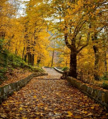 زیبایی مسحور کننده پاییز در طبیعت گلستان +عکس 12 زیبایی مسحور کننده پاییز در طبیعت گلستان +عکس