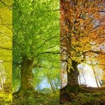 ارزش‌های اخلاقی مردم با تغییر فصل تغییر می‌کند