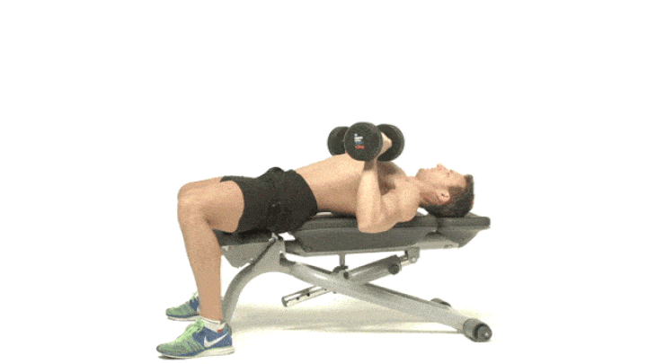 حرکات بدنسازی با دمبل؛ ۲۷ تمرین و انواع حرکات با دمبل_تونل زمان 5 ورزش با دمبل - پرس نیمکت